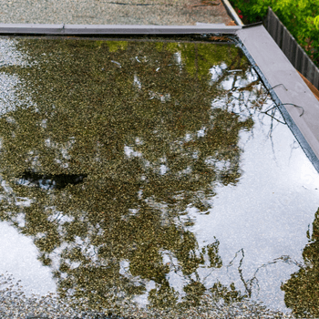 Gold Coast Roof Inspections