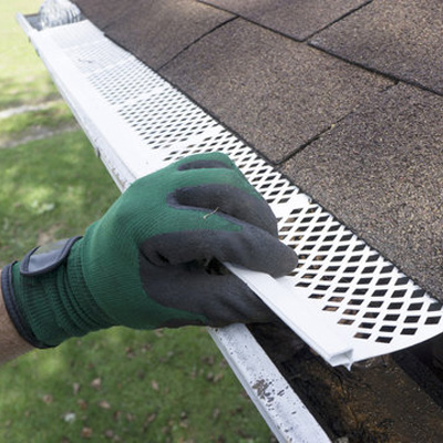 Wildlife Causes Roof Damage