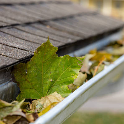 10 Most Common Roofing Problems