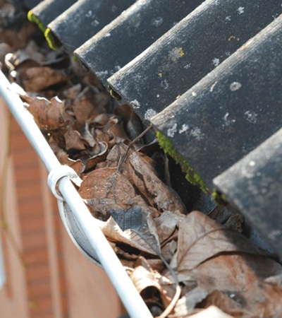 5 Main Causes of Mould in Roofing