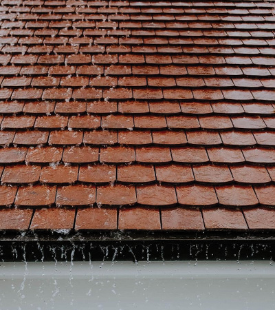 5 Main Causes of Mould in Roofing