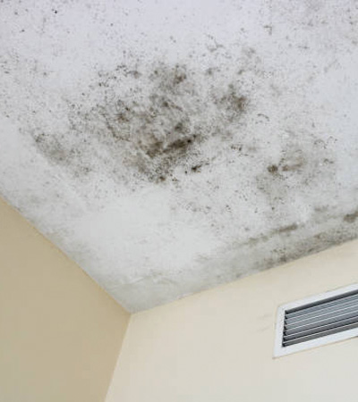 5 Main Causes of Mould in Roofing