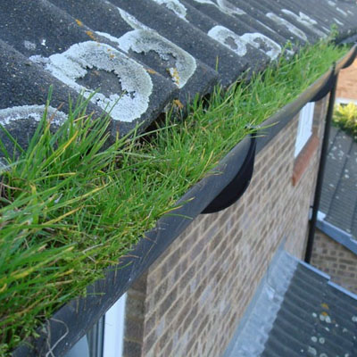 5 Most Common Issues Found in Brisbane Roof Inspections