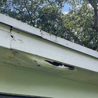 Beyond the Roofline: Checking Soffits, Fascias, and Eaves