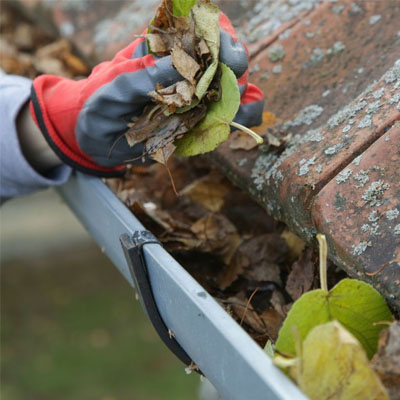 Why Coastal Homes Need Specialised Roof Inspections