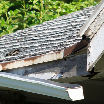 Why Coastal Homes Need Specialised Roof Inspections