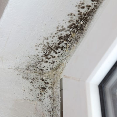 Thermal Bridging & Your Roof: Its Impact and How to Prevent It