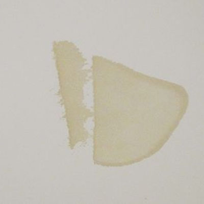 Should You Buy a Home with an Old Roof? What to Look for First