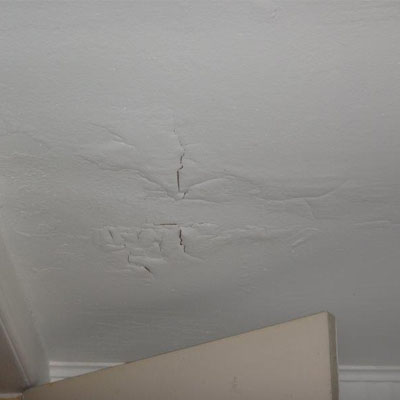 Trees Too Close to Your Roof? Risks You Shouldn’t Ignore