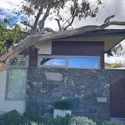 Trees Too Close to Your Roof? Risks You Shouldn’t Ignore