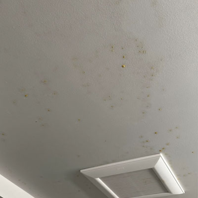 Do You Need a Roof Report Before Renovating Your Home?