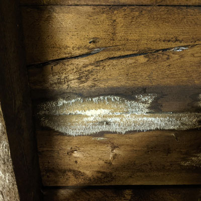 Why Internal Roof Damage Often Escapes Routine Building Inspections