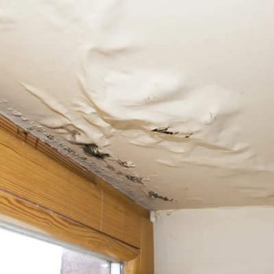 Capillary Action Leaks: The Invisible Threat in Roof Design