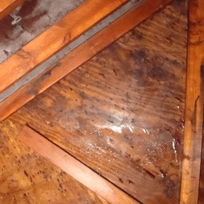 How Poor Roof Vent Placement Leads to Condensation Damage