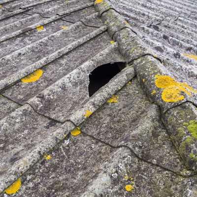 Is Your Roof Storm-Ready? Overlooked Risks That Lead to Claims Being Denied