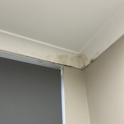 Drainage Problems Can Lead to Bigger Building Issues