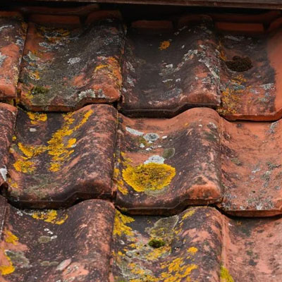 A roof condition report can show issues present in an ageing roof