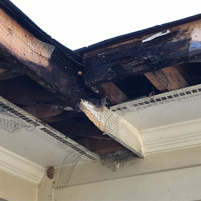 How Fascia Problems Can Point to Larger Roof Drainage Issues - Rotting Fascia