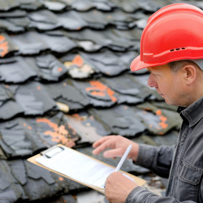 What Mould in the Roof Space Can Say About Roofing Problems - Roof condition report