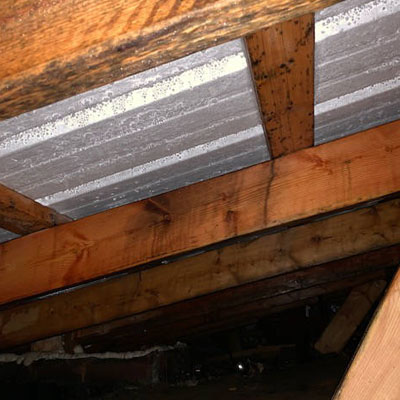 What Mould in the Roof Space Can Say About Roofing Problems - Internal roof leak