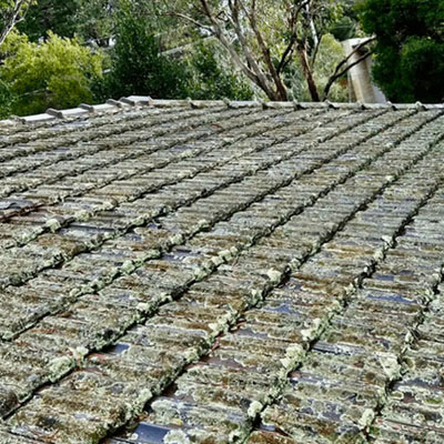 Roof Defects That Can Complicate Property Insurance Approval - Pre-existing roof issues
