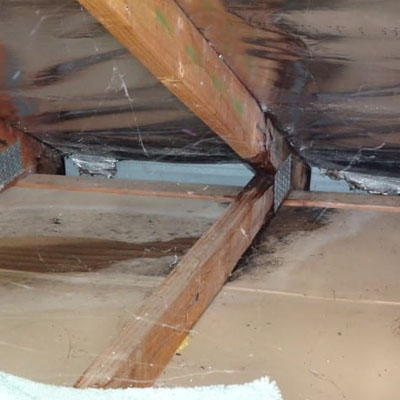 Do You Need a New Roof? Get an Independent Opinion First - Leaking roof