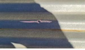 New Farm Roof Report Page 11 Image 0002