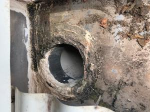 Casuarina Roof Inspection 0026