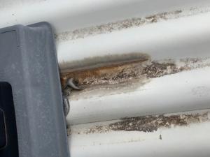 Casuarina Roof Inspection 0032