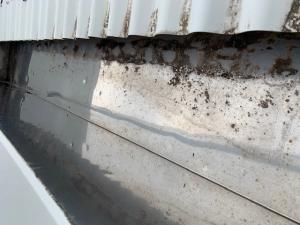 Casuarina Roof Inspection 0035