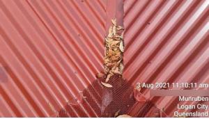 Munruben-Roof-Report Page 04 Image 0006