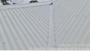 Rockhampton-Roof-Report Page 04 Image 0008