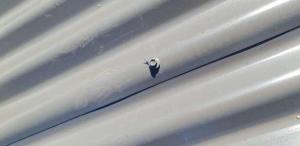 Rosemount-Roof-Report Page 04 Image 0002