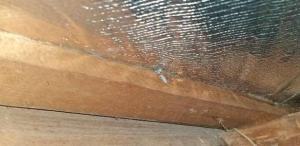 Alderly-Roof-Inspection 36