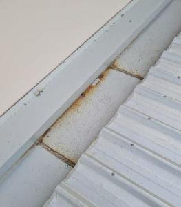 Burleigh-Waters-Roof-Inspection Page 09 Image 0004