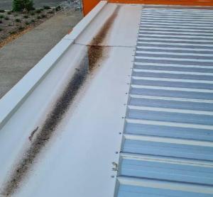 Burleigh-Waters-Roof-Inspection Page 14 Image 0004