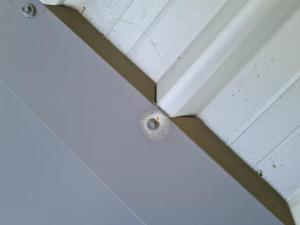 Burleigh-Waters-Roof-Inspection Page 17 Image 0002