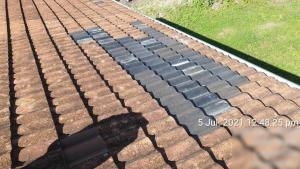 Canterbury Bankstown Roof Inspection Report