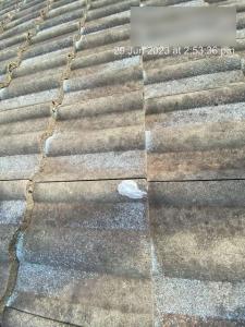 Elanora-Roof-Inspection-Report Page 07 Image 0003