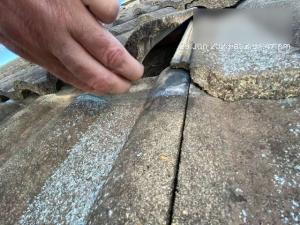 Elanora-Roof-Inspection-Report Page 08 Image 0006