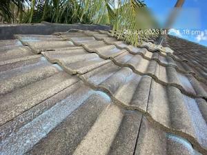 Elanora-Roof-Inspection-Report Page 10 Image 0002