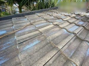 Elanora-Roof-Inspection-Report Page 10 Image 0003