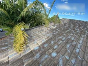 Elanora-Roof-Inspection-Report Page 10 Image 0006