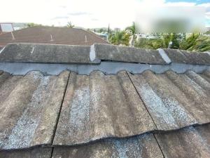 Elanora-Roof-Inspection-Report Page 14 Image 0004