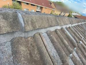 Elanora-Roof-Inspection-Report Page 14 Image 0006