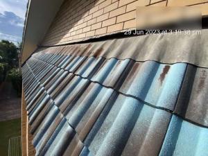 Elanora-Roof-Inspection-Report Page 17 Image 0002