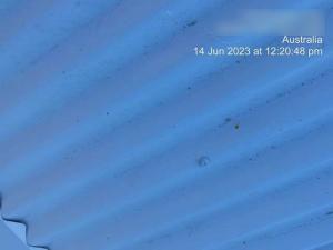 Jacobs Well Roof Inspection