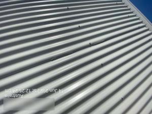 Jacobs Well Roof Inspection