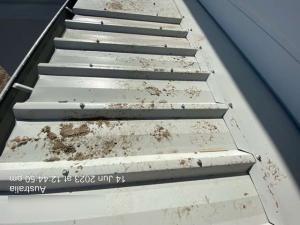Jacobs Well Roof Inspection
