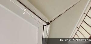 Koongal Roof Inspection Report